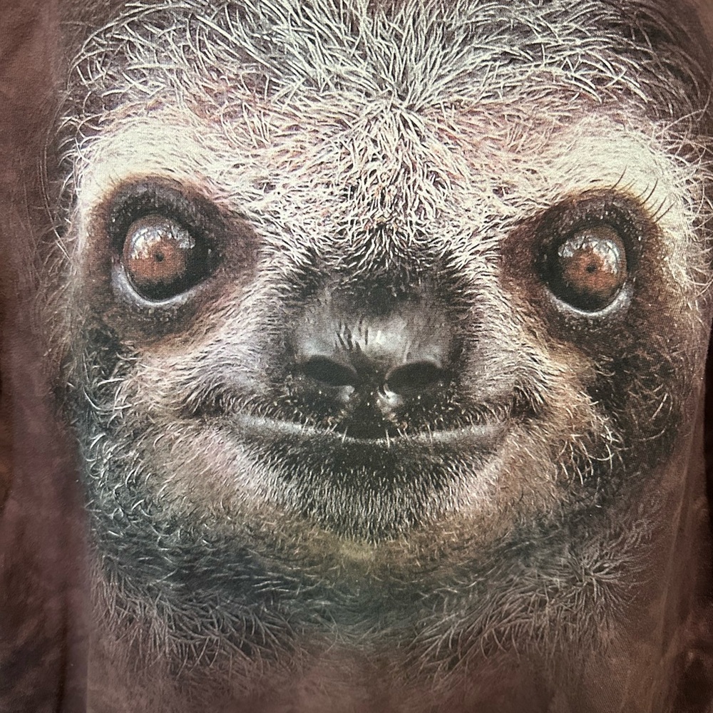 The Mountain Sloth Men’s Graphic T Shirt Sz XL EUC - Picture 3 of 8